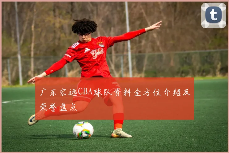 广东宏远CBA球队资料全方位介绍及荣誉盘点