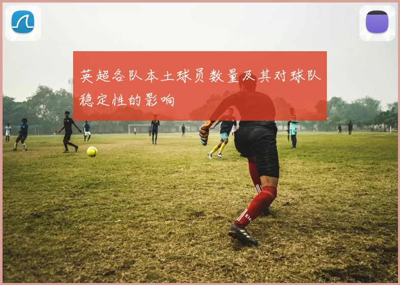 英超各队本土球员数量及其对球队稳定性的影响