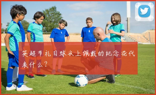 英超节礼日球衣上佩戴的纪念花代表什么?