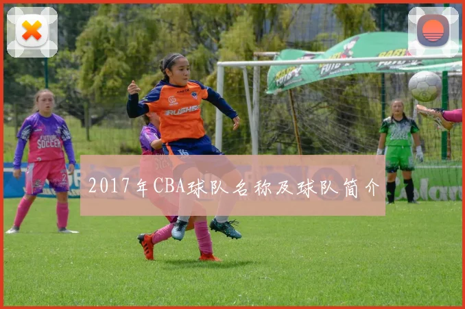 2017年CBA球队名称及球队简介