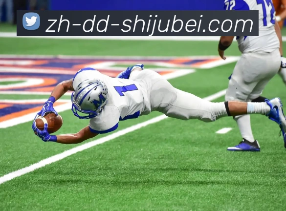 多媒体互动体验